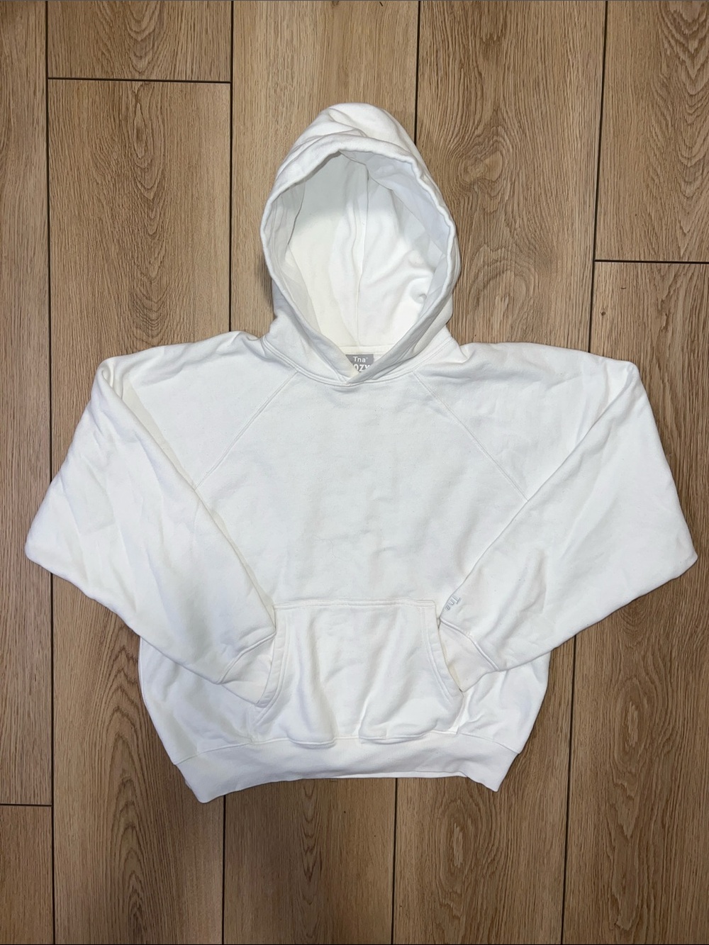 Aritzia TNA Cozy Fleece Hoodie in White